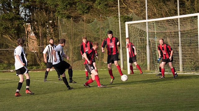 差异显著 差异显著