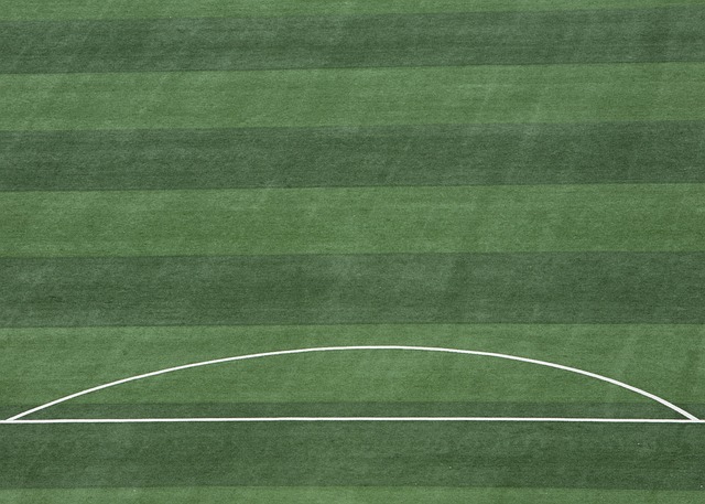 球员身份而 球员身份而