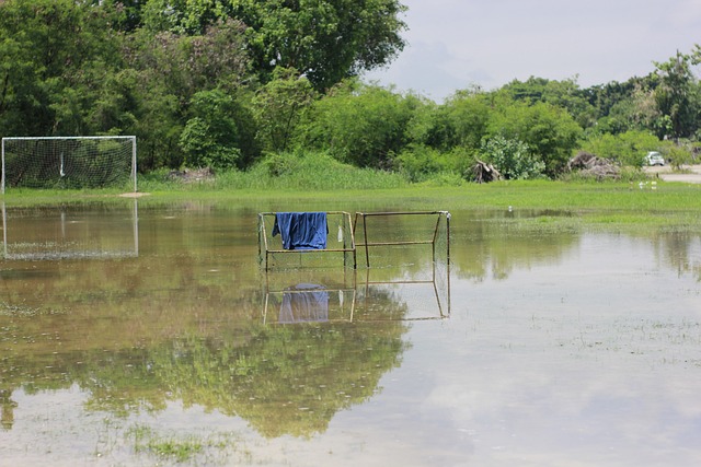 包括快速滑 包括快速滑