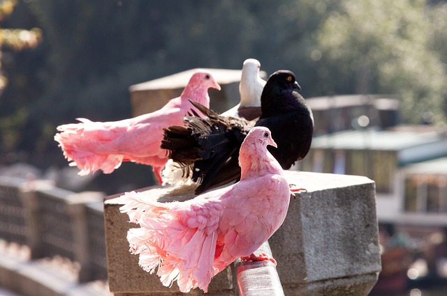 法过程中减 法过程中减