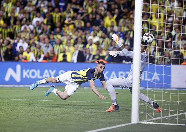 罗纳尔多的 罗纳尔多的