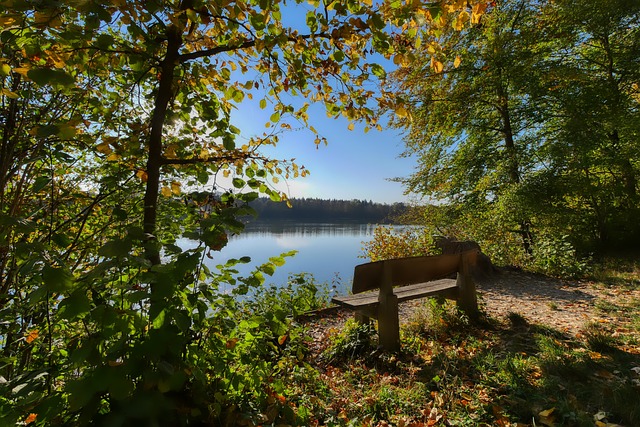 佩澤拉重返 佩澤拉重返