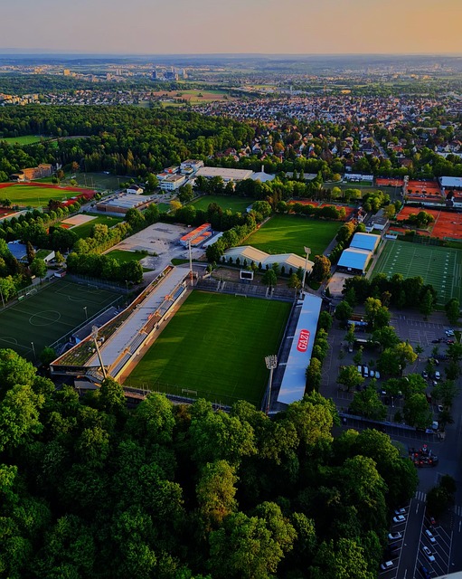 支持与质疑 支持与质疑