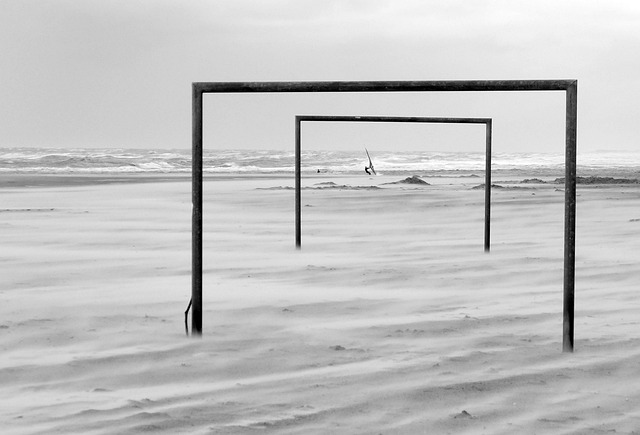 今年的比赛 今年的比赛